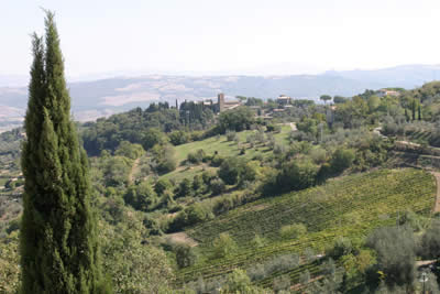 Vista vicino a Castiglion d'Orcia